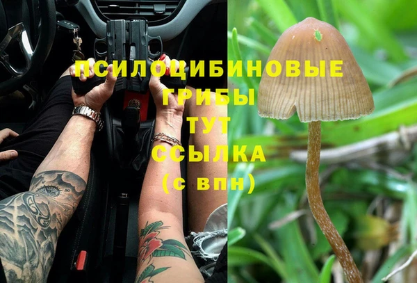 гашик Баксан