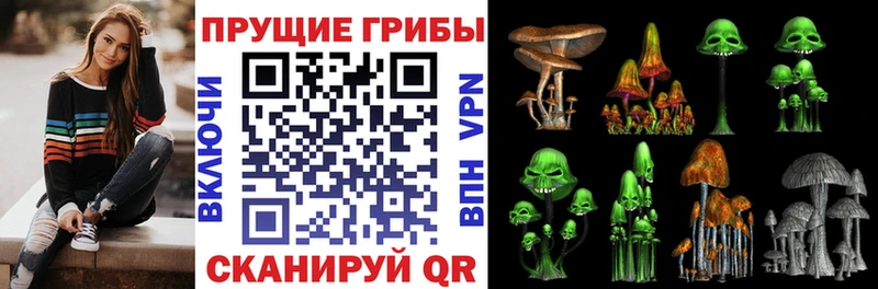 Купить где  Семикаракорск  Псилоцибиновые грибы MAGIC MUSHROOMS 